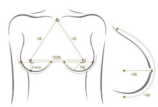 自体脂肪隆胸好不好？多少钱？