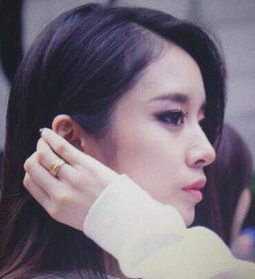 鼻梁高的女星 几个韩国女团中的高鼻梁团员