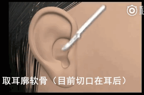 漂亮鼻子，侧颜杀