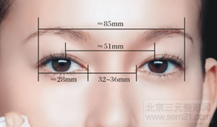 眼裂宽度(约为28mm) 眼裂宽度(约为28mm)