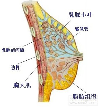假体隆胸后可以喂奶吗,有什么危害吗?