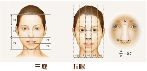 何为三庭五眼 何为三庭五眼
