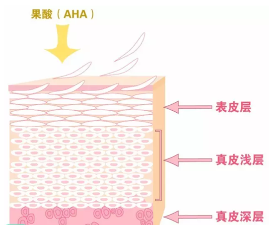果酸换肤原理效果副作用和危害详解