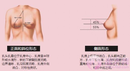 胸部符合哪些数据才好看呢?