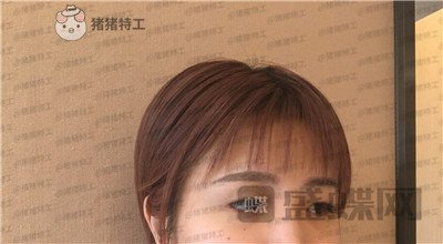 杭州艺星,杨连华,,案例,价格,
