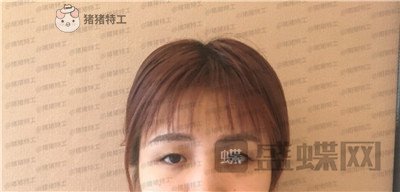 杭州艺星,杨连华,,案例,价格,