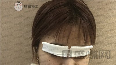 杭州艺星,杨连华,,案例,价格,
