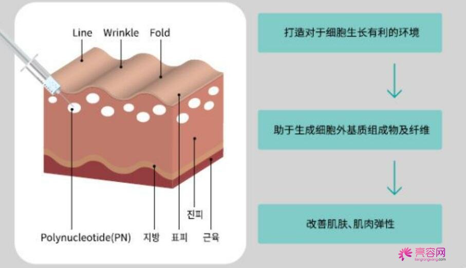 丽珠兰水光补水果怎么样呢？丽珠兰水光补水的价格贵不贵呢？