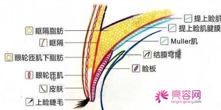 西京医院整形科肖博做双眼皮技术怎么样？医生技术分析+双眼皮案例