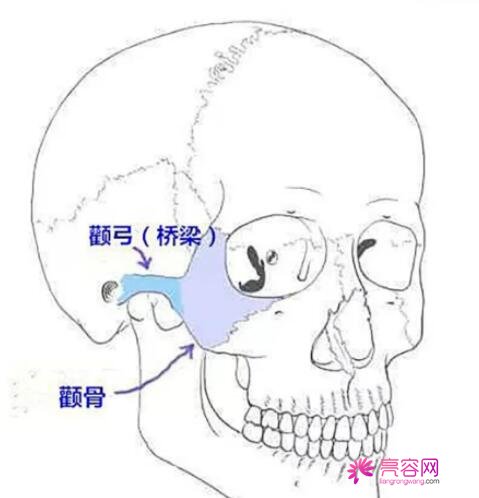 左右不对称