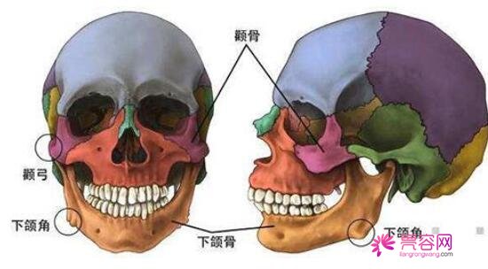 下颌角手术