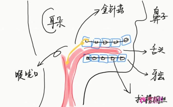 清洁很难，带上你的牙刷